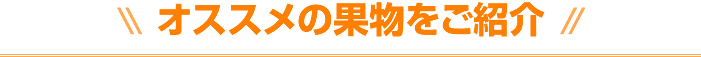 オススメの果物をご紹介
