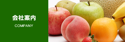会社案内