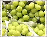 シャインマスカット