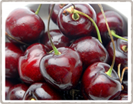 アメリカンチェリー