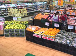 果物のことなら