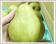 ラ・フランス(西洋梨)